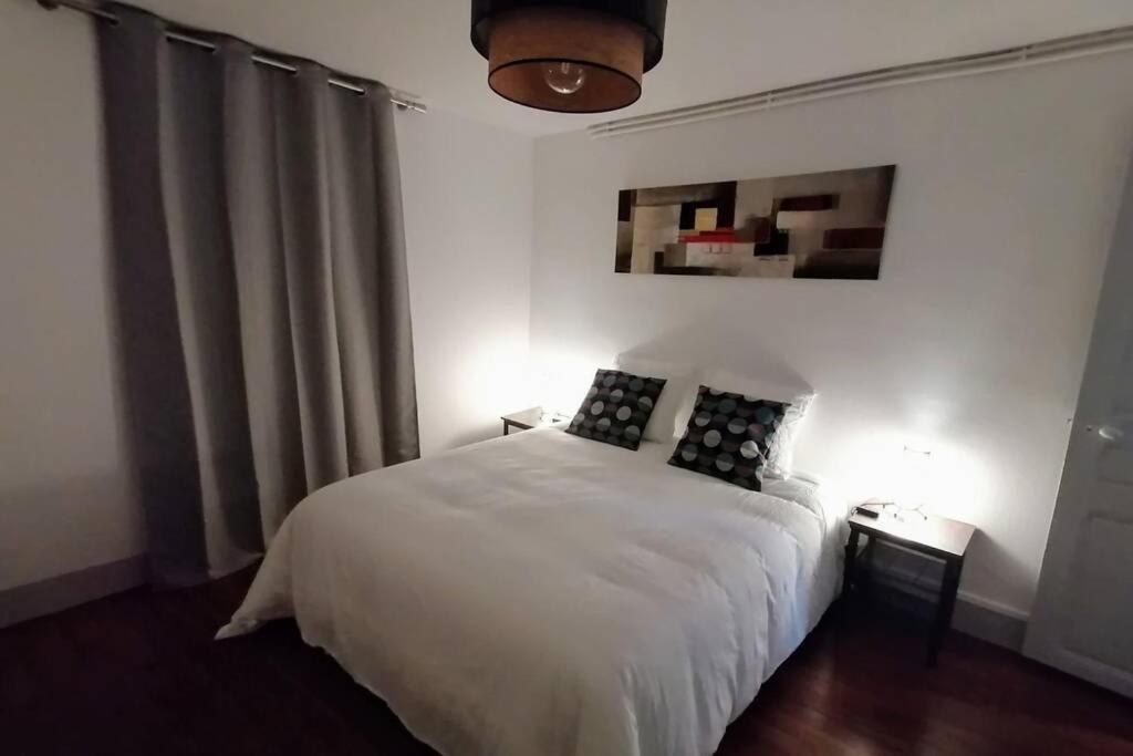 Le Laventin - 52M2 - Boulevard De La Grotte - Hyper Centre Lourdes Kültér fotó